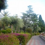 タオルミーナ市民庭園