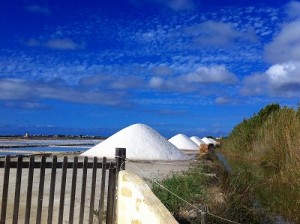 トラーパニとマルサラの間に見られる塩田