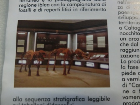 シラクーサのパオロ･オルシ考古学博物館「Museo Archeologico Regionale Paolo Orsi」