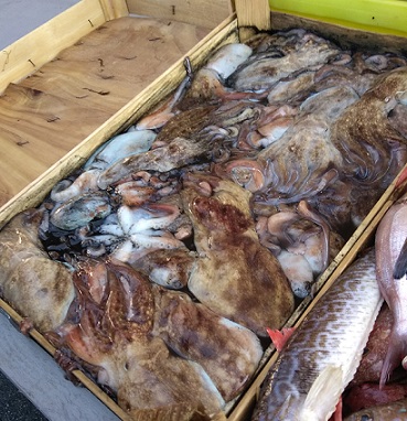 トラパニの魚市場を散策