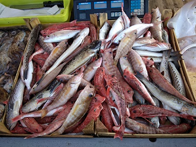 トラパニの魚市場を散策