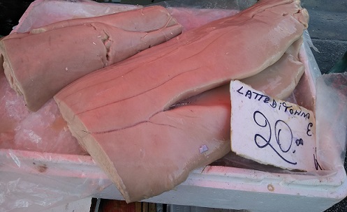 トラパニの魚市場を散策