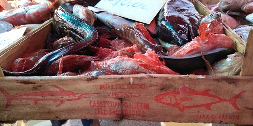 トラパニの魚市場を散策