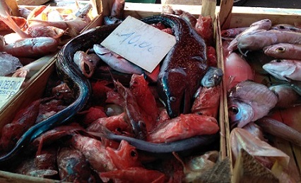 トラパニの魚市場を散策