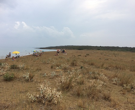 Noto-Vendicari自然保護区-Marzamemi旅行