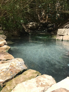 セジェスタの天然温泉